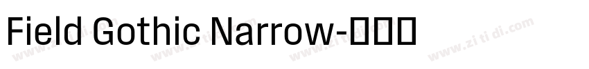 Field Gothic Narrow字体转换